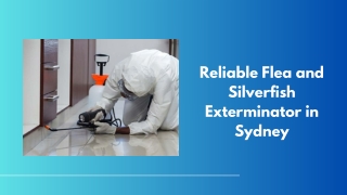 Reliable Flea and Silverfish Exterminator in Sydney