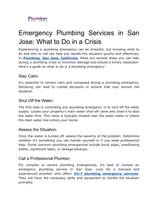 Emergency Plumbing Services in San Jose_ What to Do in a Crisis