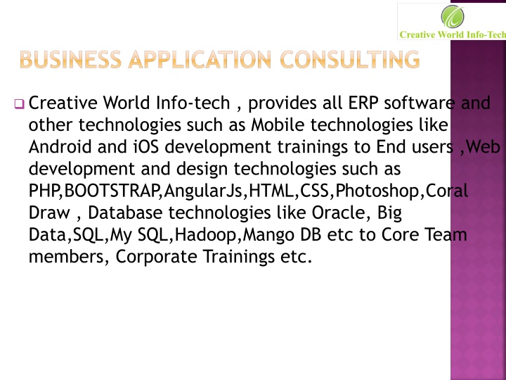 business application consulting