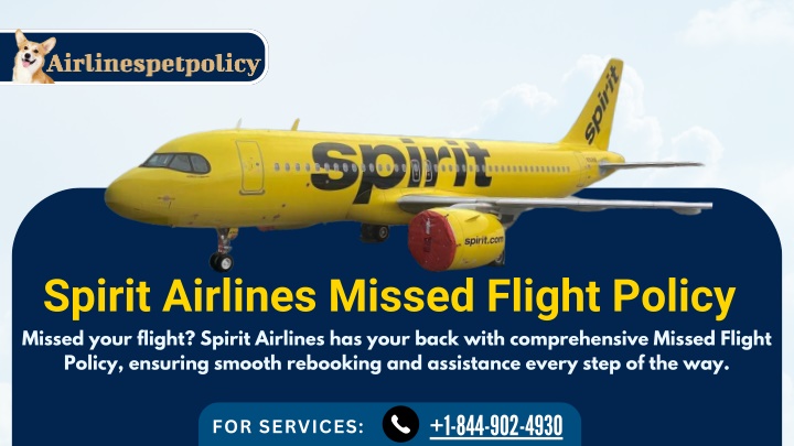 spirit airlines missed flight policy missed your