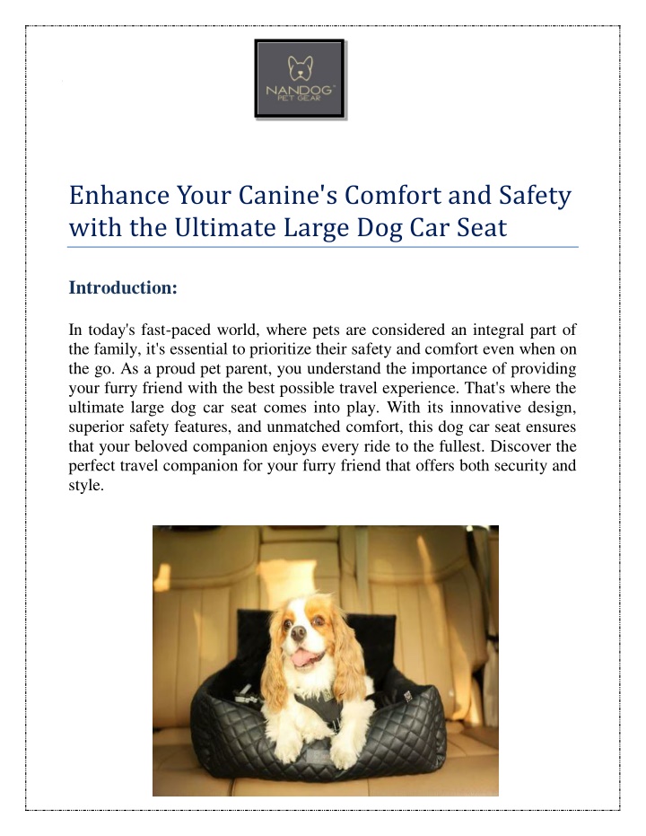 enhance your canine s comfort and safety with