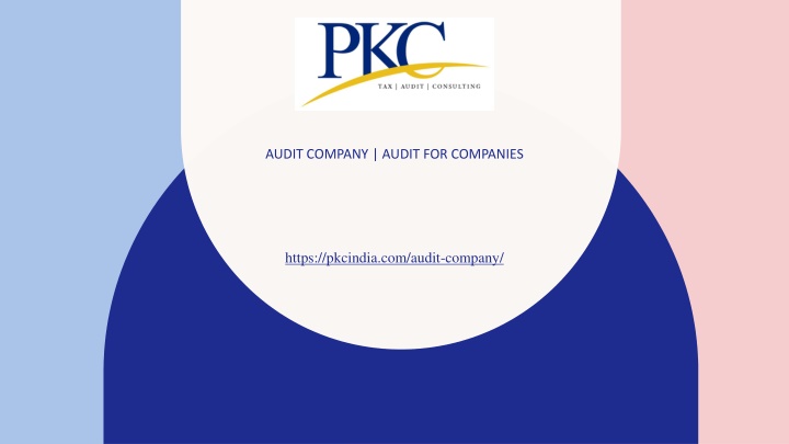 audit company audit for companies