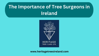 The Importance of Tree Surgeons in Ireland