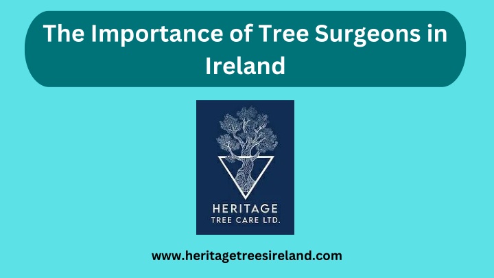 the importance of tree surgeons in ireland