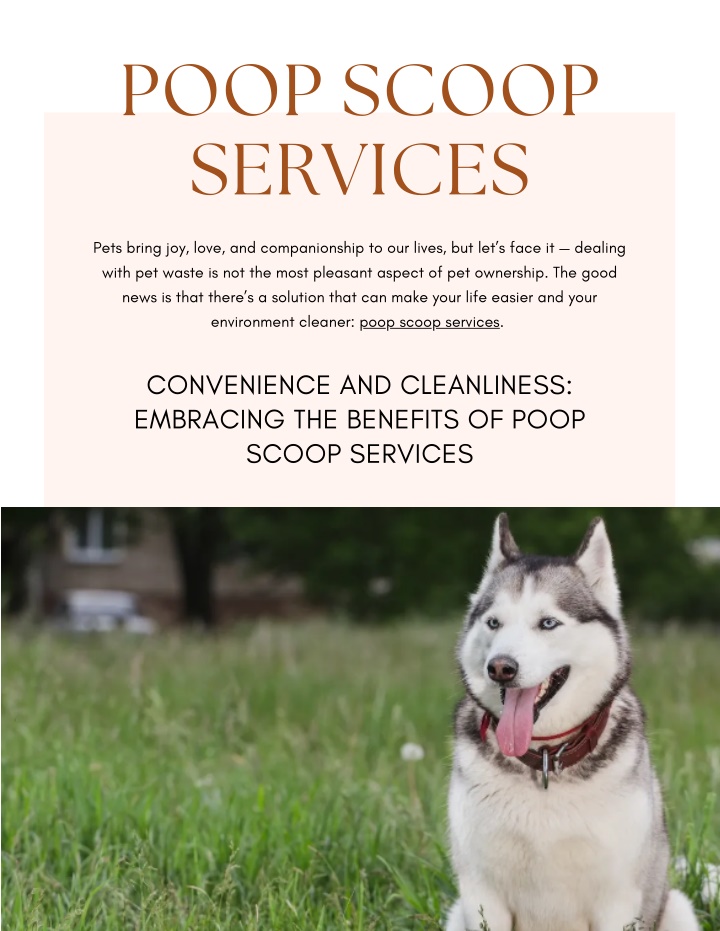 poop scoop services