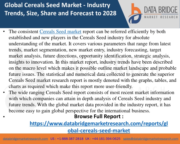 global cereals seed market industry trends size