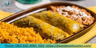 phone 281 602 3490 visit https blueagavehouston