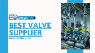 Best Valve Supplier | Eg Valve