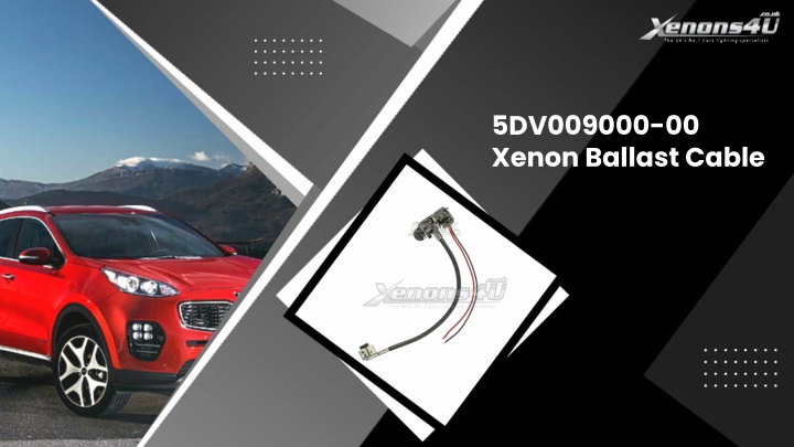 5dv009000 00 xenon ballast cable