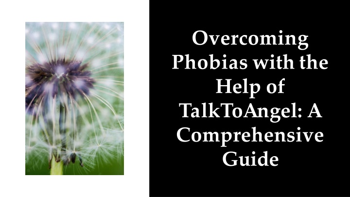 overcoming phobias with the help