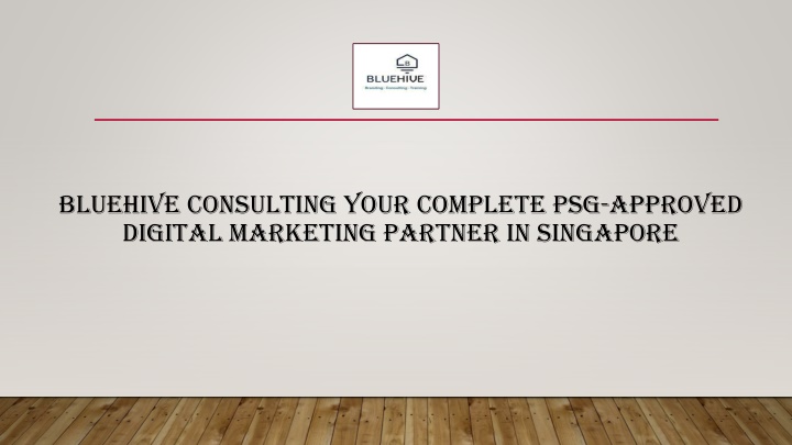 bluehive consulting your complete psg approved digital marketing partner in singapore