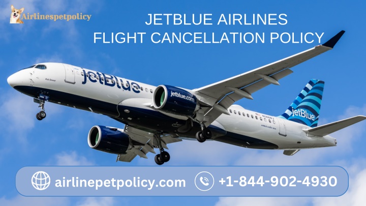 jetblue airlines flight cancellation policy