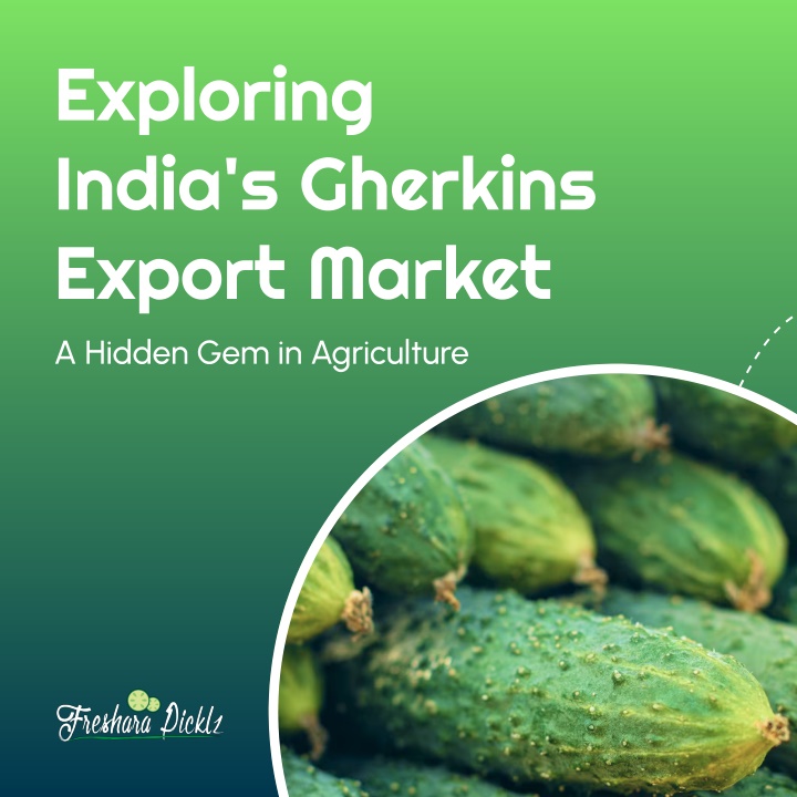 exploring india s gherkins export market