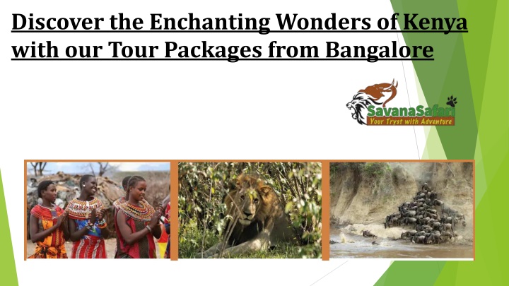 discover the enchanting wonders of kenya with