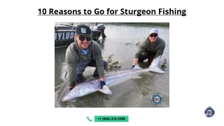 10 Reasons to Go for Sturgeon Fishing