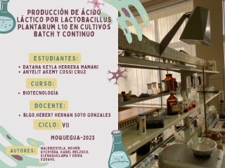 Producción de ácido láctico por Lactobacillus plantarum L10 en cultivos batch y continuo