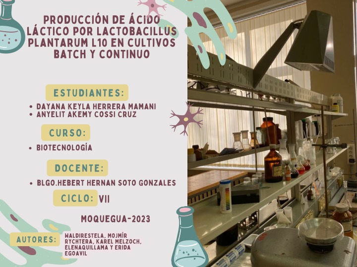 producci n de cido l ctico por lactobacillus