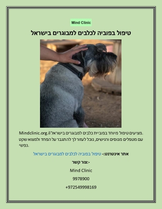 טיפול בפוביה לכלבים למבוגרים בישראל