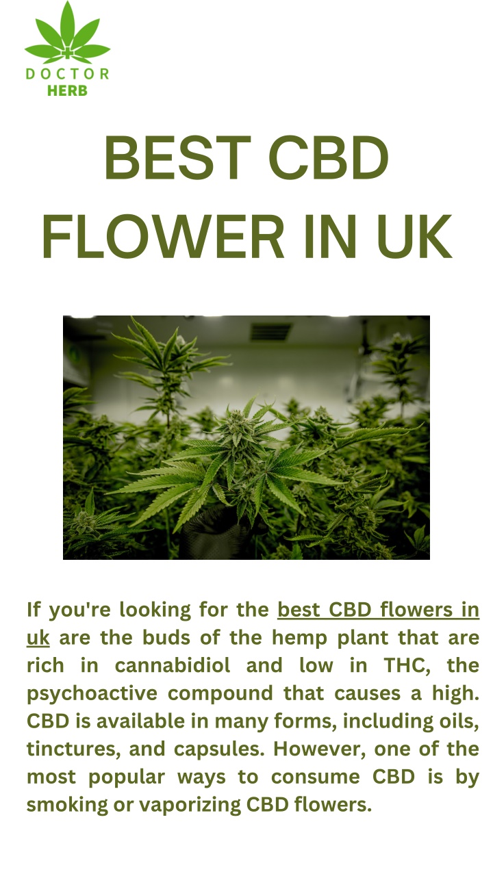 best cbd flower in uk