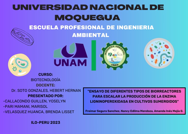 universidad nacional de moquegua