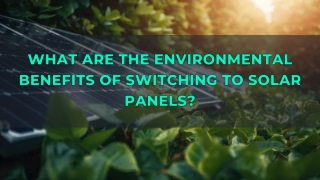 What Are The Environmental Benefits of Switching To Solar Panels