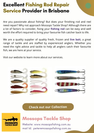 Excellent Fishing Rod Repair Service Provider in Brisbane