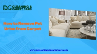 Get a Professional For Carpet Cleaning In Naples FL