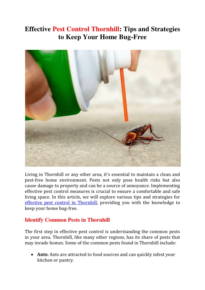 effective pest control thornhill tips