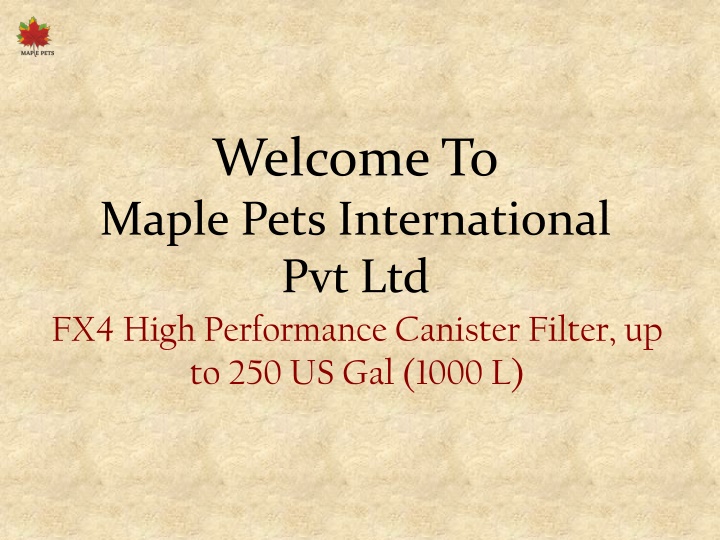 welcome to maple pets international
