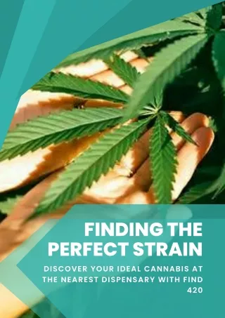 Finding the Perfect Strain Discover Your Ideal Cannabis at the Nearest Dispensary with Find 420