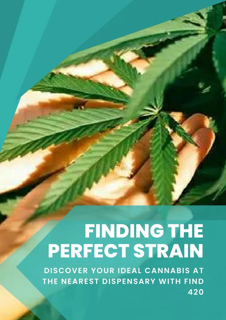 finding the perfect strain discover your ideal