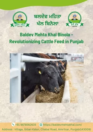 Cattle Feed Manufacturer in Punjab