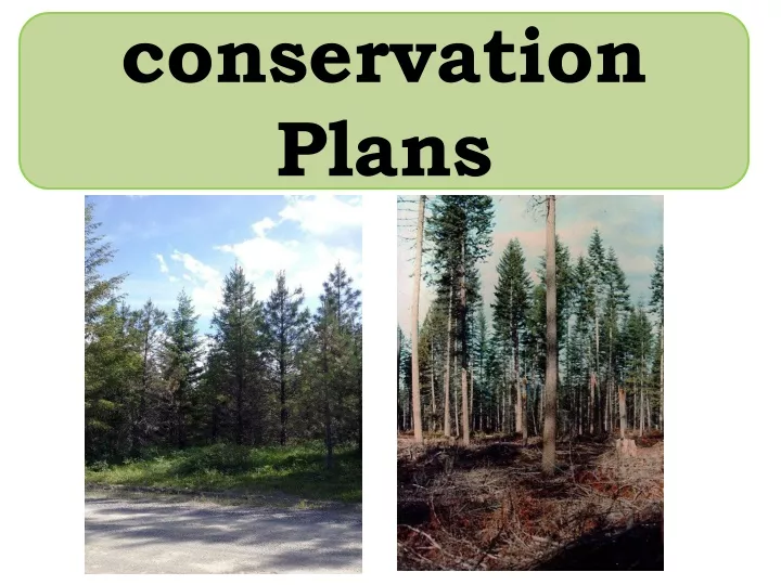 conservation plans