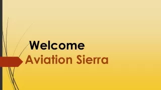 Aviation Sierra Best Pilot Training Institute in India