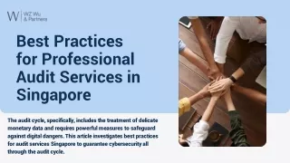 Best Practices for Professional Audit Services in Singapore