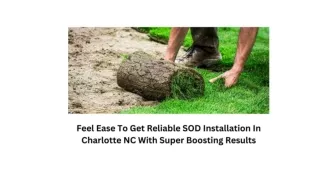 FEEL EASE TO GET RELIABLE SOD INSTALLATION IN CHARLOTTE NC WITH SUPER BOOSTING RESULTS