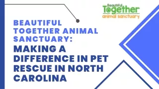 Beautiful Together Animal Sanctuary Making a Difference in Pet Rescue in North Carolina