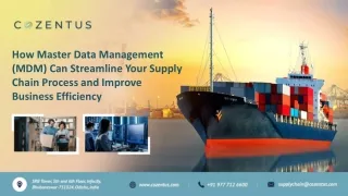 How Master Data Management (MDM) Can Streamline Your Supply Chain Process and Improve Business Efficiency