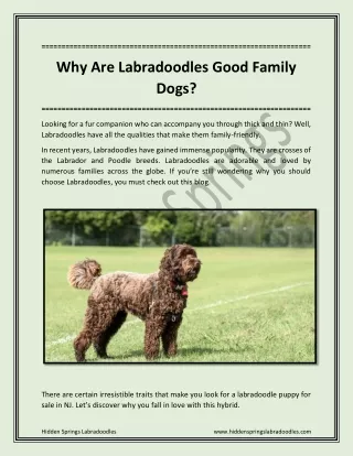Why Are Labradoodles Good Family Dogs