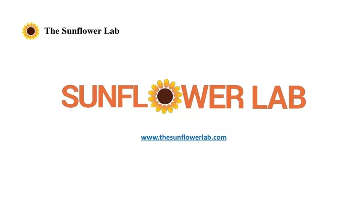 the sunflower lab