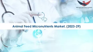 Animal Feed Micronutrients Market | Global Industry Analysis | Outlook