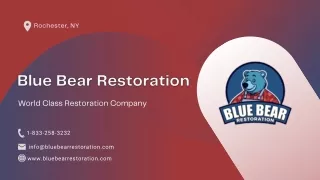 Blue Bear Restoration: Comprehensive Restoration Services for Your Property