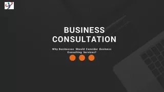 business consultation