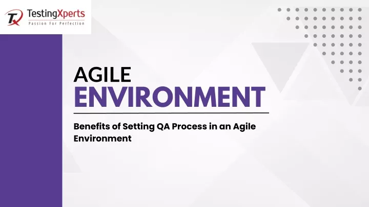 agile environment