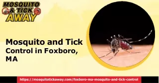 Get Effective Mosquito and Tick Control in Foxboro, MA With Mosquito Tick Away!