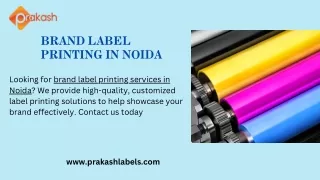 Brand Label Printing in Noida (1)