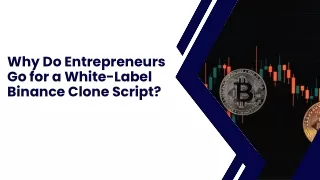 Why Do Entrepreneurs Go for a White-Label Binance Clone Script ?