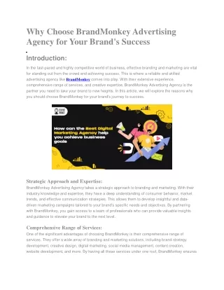 Why Choose BrandMonkey Advertising Agency for Your Brand