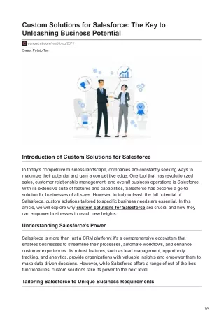 Custom Solutions for Salesforce The Key to Unleashing Business Potential