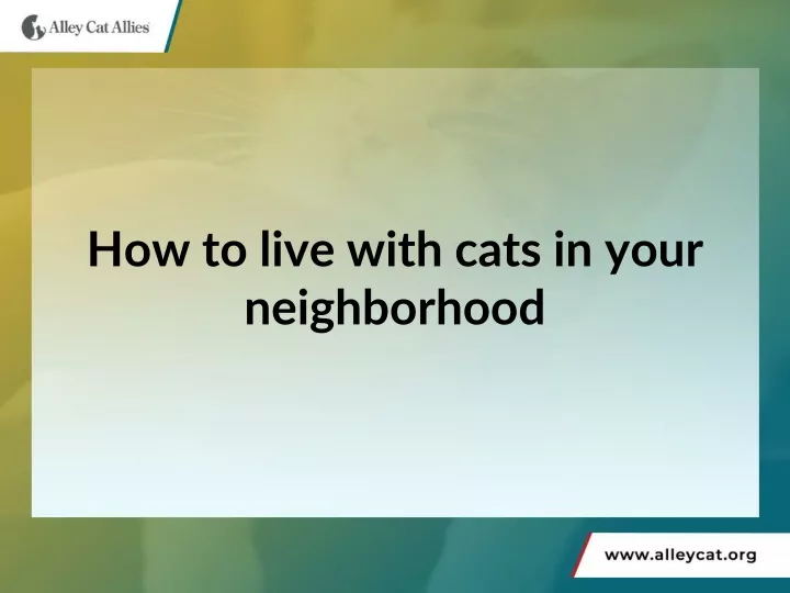 how to live with cats in your neighborhood